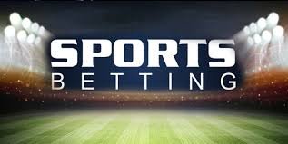 Guia Completo sobre Betwinner Apostas e Promoções